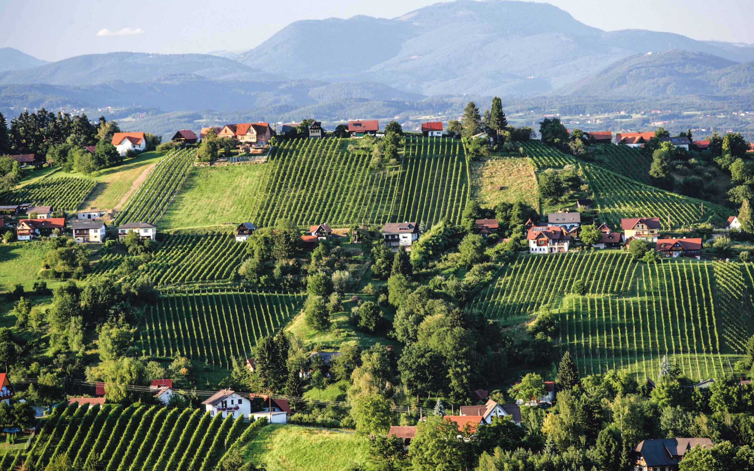 Eine malerische Aufnahme einer der Genussregionen Steiermark.